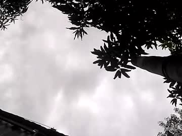 gliz23815