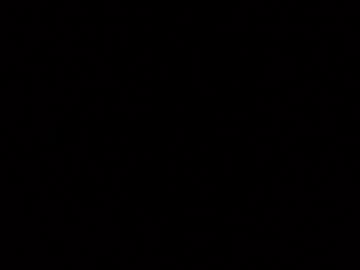 josiedelight