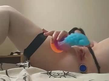 kittydreamx